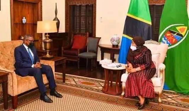 Aliko Dangote meets President Samia Suluhu Hassan of Tanzania 2
