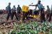 Jigawa State Hisbah Command destroys beer bottles