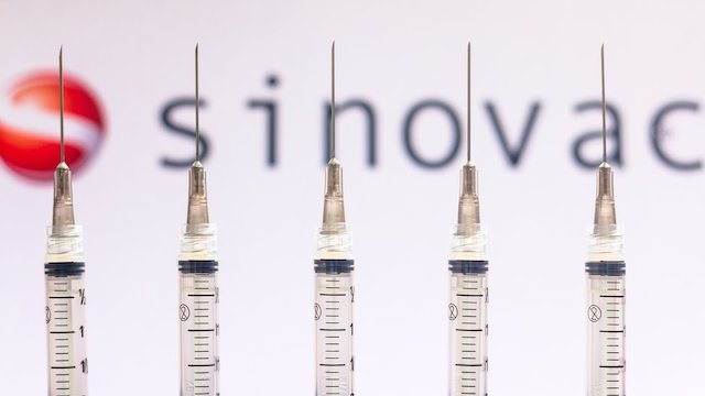Sinovac covid-19 vaccine