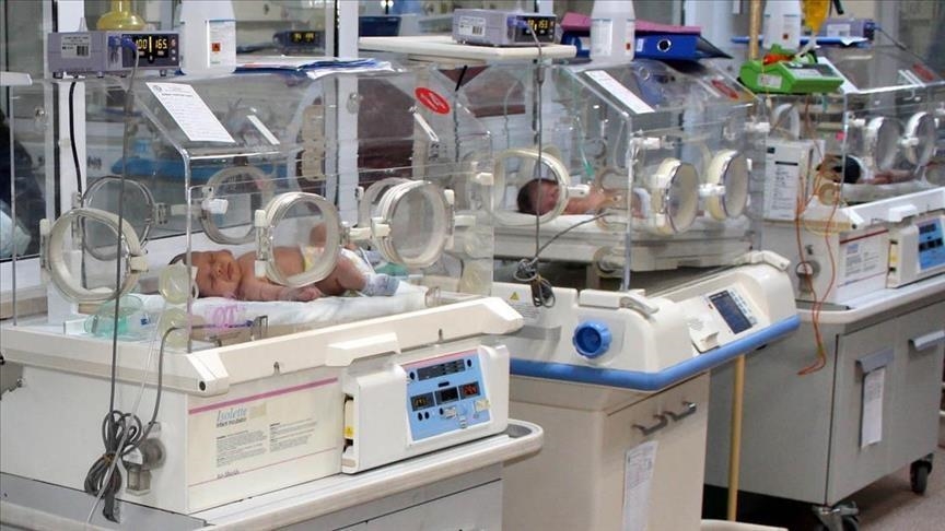 The babies in incubators