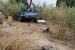 Nigerian soldiers ambush terrorists in Adamawa; kill 6