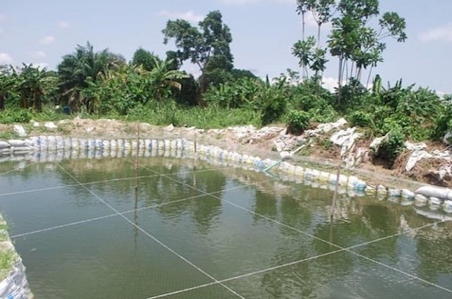 an aquaculture hub in Eriwe Ogun state