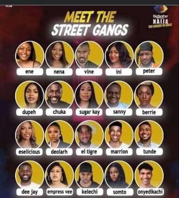 BBNaija Season 6 Housemates