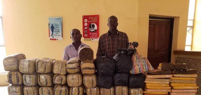 Muhammadu Garba and Shaibu Haruna arrested with cannabis sativa in Adamawa