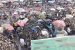 Lagos reopens Ladipo Market