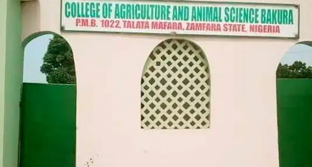 College of Agriculture and Animal Science, Bakura in Zamfara State