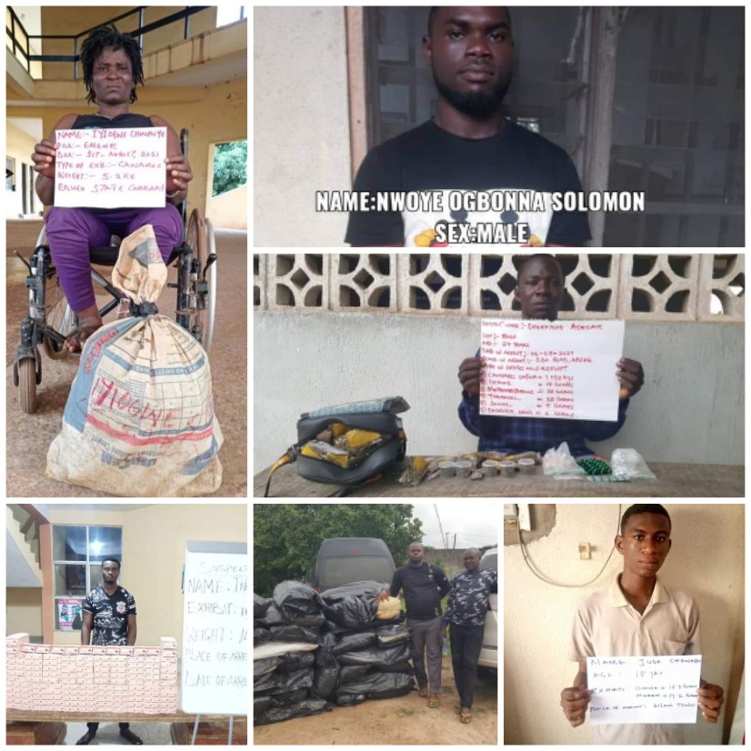 NDLEA raids 7 states, nab 15 drug dealers