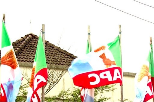 APC flag