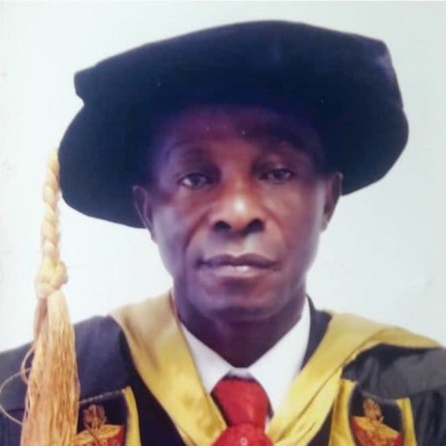 Professor Enyinna Okpara
