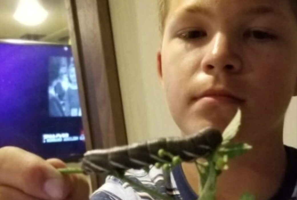 William Quince Colburn, 15, kills parents and sister before committing suicide