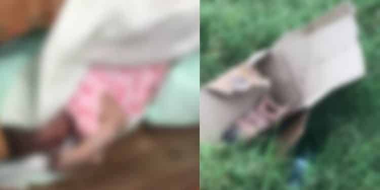 Two abandoned dead babies buried in Abakaliki
