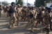 Military, Police, Hunters march together in Maiduguri in show of solidarity