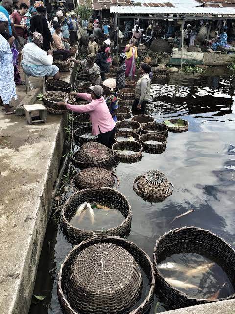 FG to upgrade Epe Fish Market in 2022