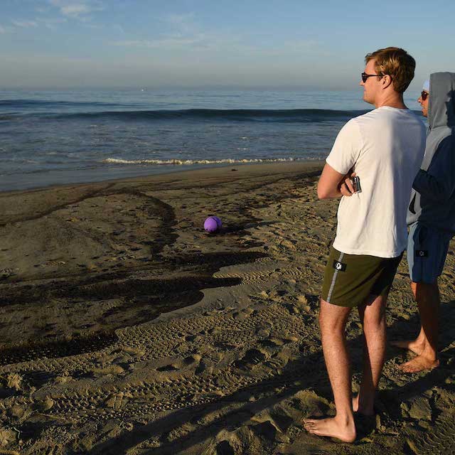 Assessing the ecological damage caused by the oil spill off California