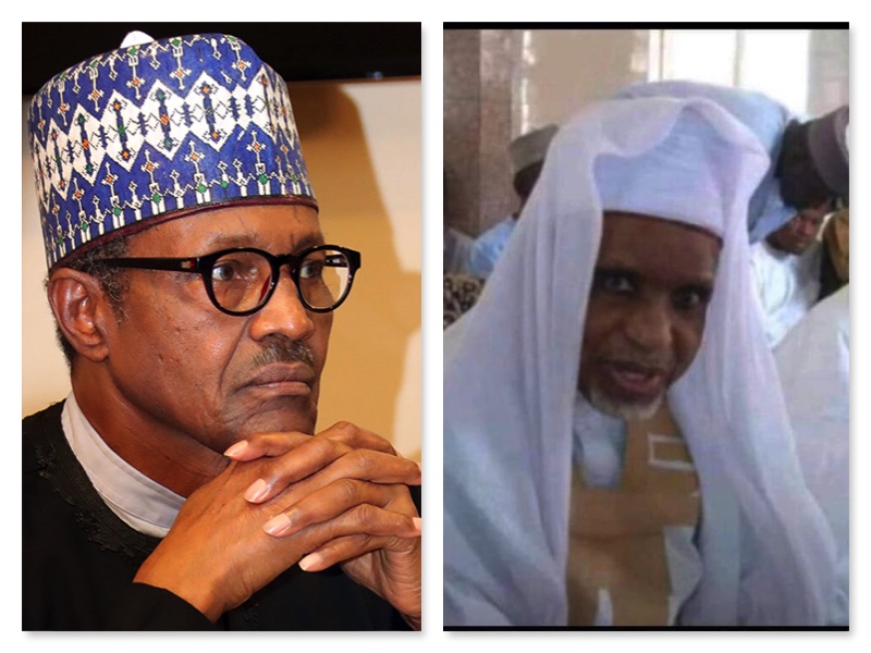 President Muhammadu Buhari and Sani Buhari Daura