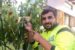 Hussam Saraf's tree with 10 different fruits