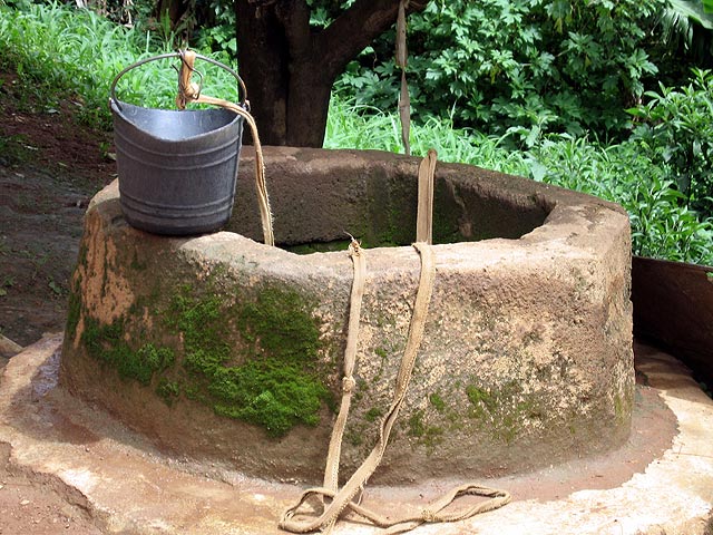 Father, son drown in well in Kano