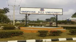 AAU