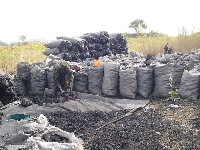 Nasarawa govt. bans sales, use of charcoal