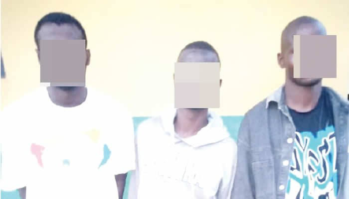 cultists arrested with guns in Ogun