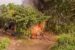 The criminal hideout set ablaze during the raid by Eleme and Alesa Youth Council and officers of Rivers Police Command