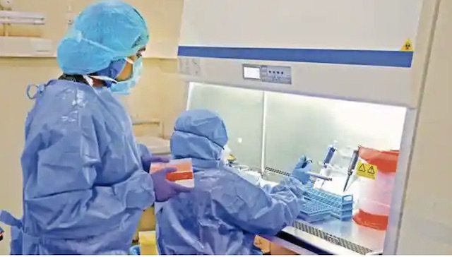 scientists dig into Omicron