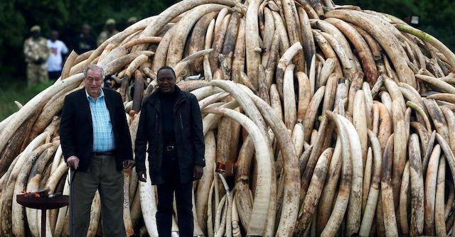 Leakey with President Kenyatta