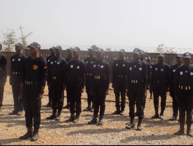 Some the Kaduna youth trained in armed combat