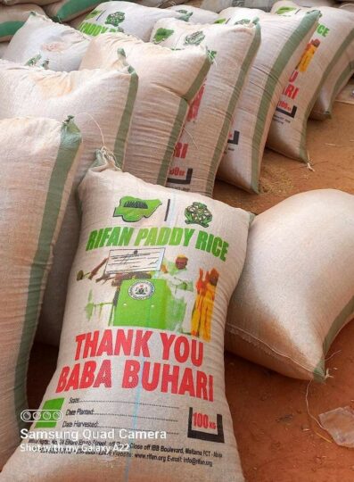 The paddy rice in bags