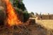 Boko Haram's camp set ablaze