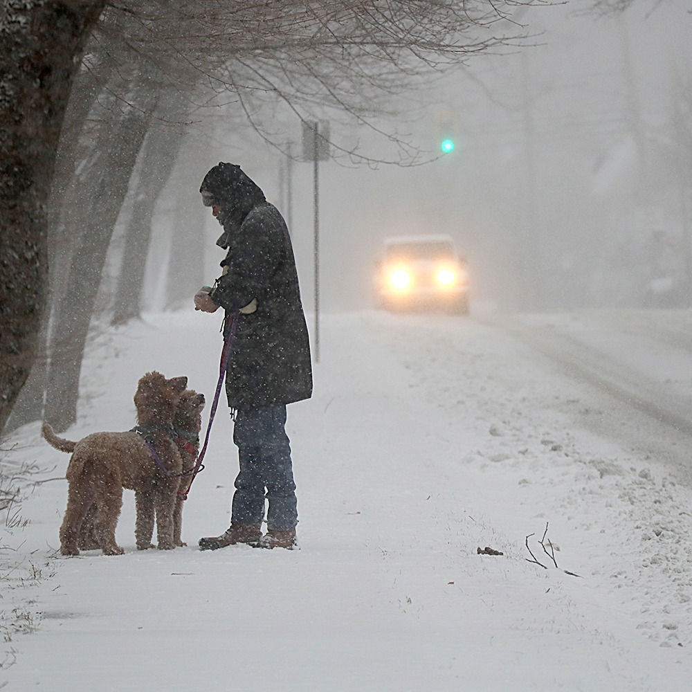 Winter storm dumps snow on U.S. east coast
