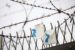 a military fence near the demilitarised zone between North and South Korea