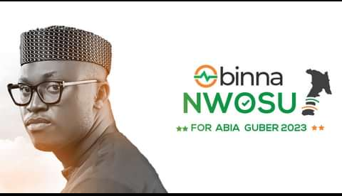Not Too Young To Run bill fails Nwosu; drops governorship ambition