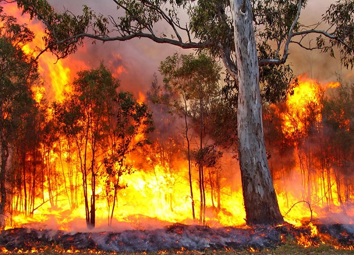 Western Australian officials warn of catastrophic bushfire conditions