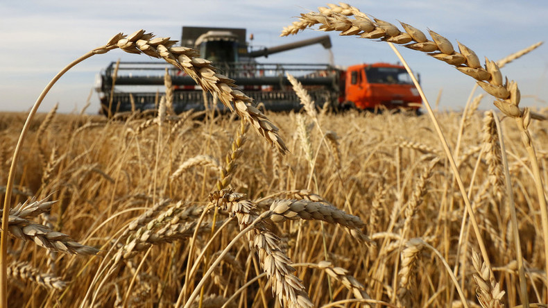 Breaking: Russia moves to starve the world, stops wheat exports - P.M. News