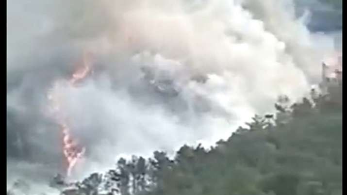 Plane with 132 on board crashes