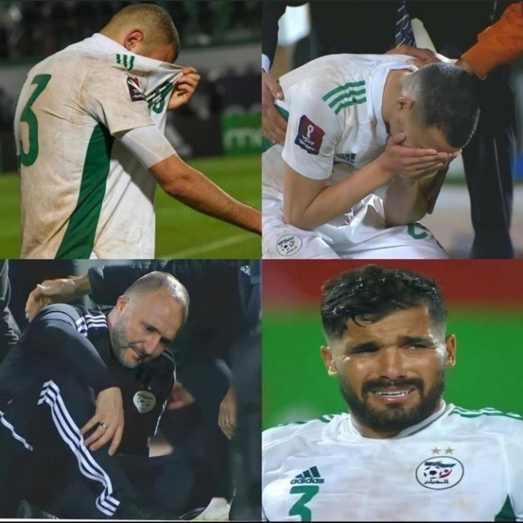 Algeria writes FIFA, seeks replay of World Cup playoff