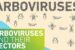 WHO launches bid to stop new global pandemic “Arboviruses”