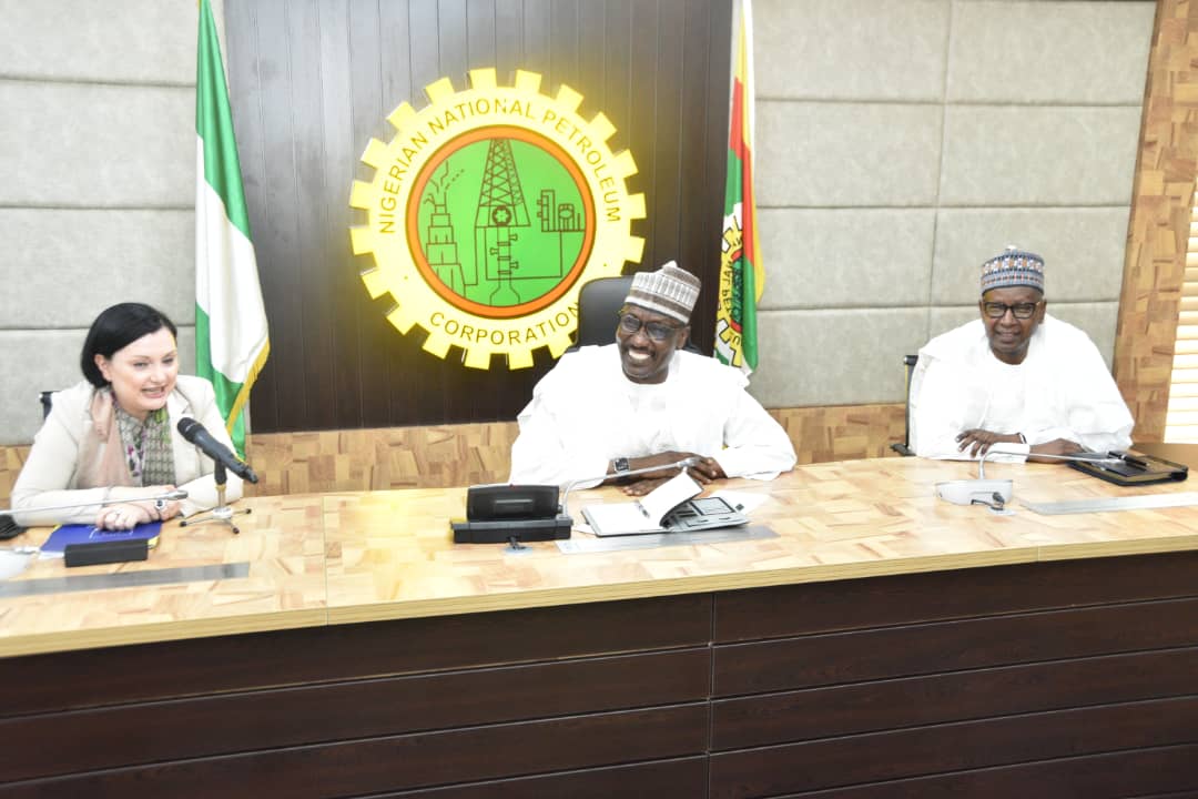 What we want from Nigeria EU Ambassador P.M. News