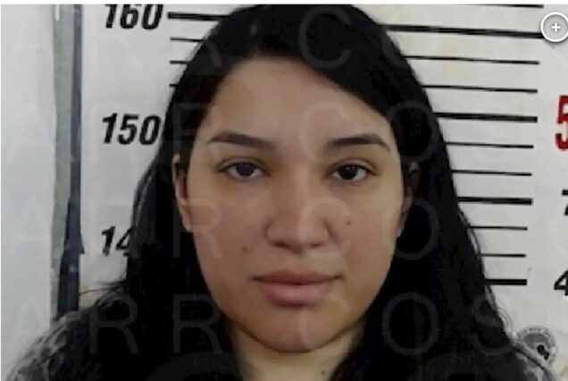 Lizelle Herrera charged with murder after abortion