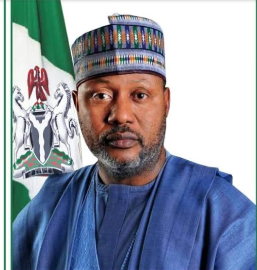 New Minister of Environment, Mohammed Abdullahi