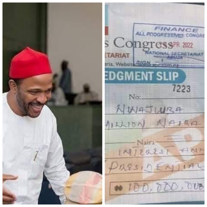Chukwuemeka Nwajiuba buys N100m APC presidential form