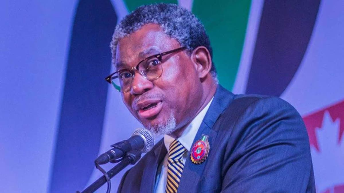 Buhari govt. will not deliver Ajaokuta steel: Minister Adegbite admits