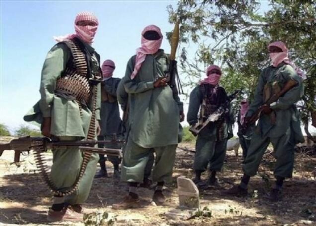 Al Shabaab terrorists