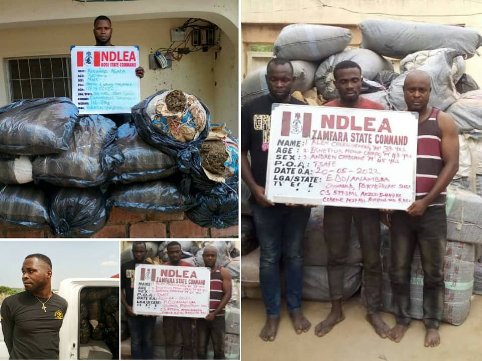Suspected drug dealers arrested by NDLEA