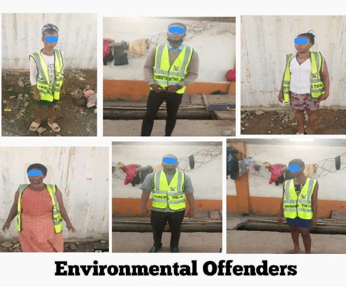 Environmental offenders