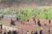 Fans invade Abuja Stadium