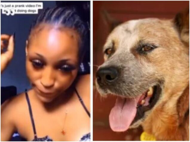 Mirabel allegedly dies from infection se contracted from sleeping with a dog