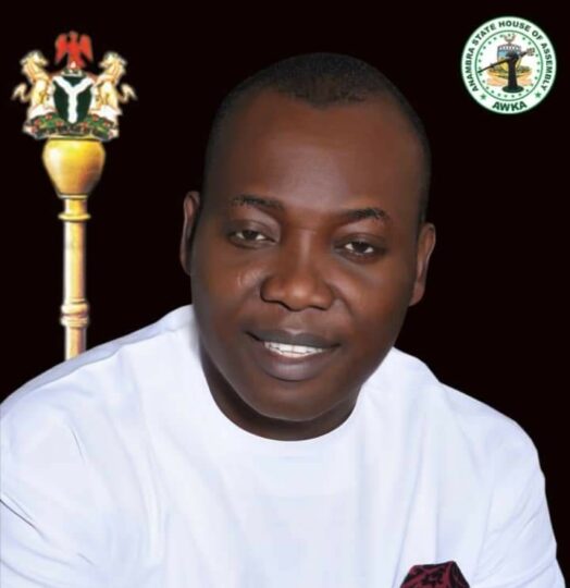 Lawmaker representing Aguata Constituency 1 in Anambra House of Assembly, Mr Okechukwu Okoye: Kidnapped