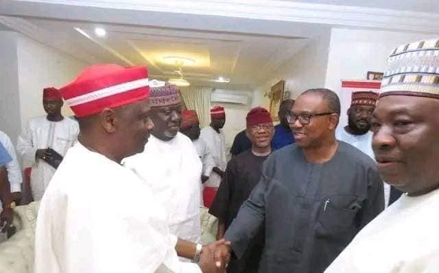Peter Obi and Rabiu Kwankwaso in Abuja on Wednesday